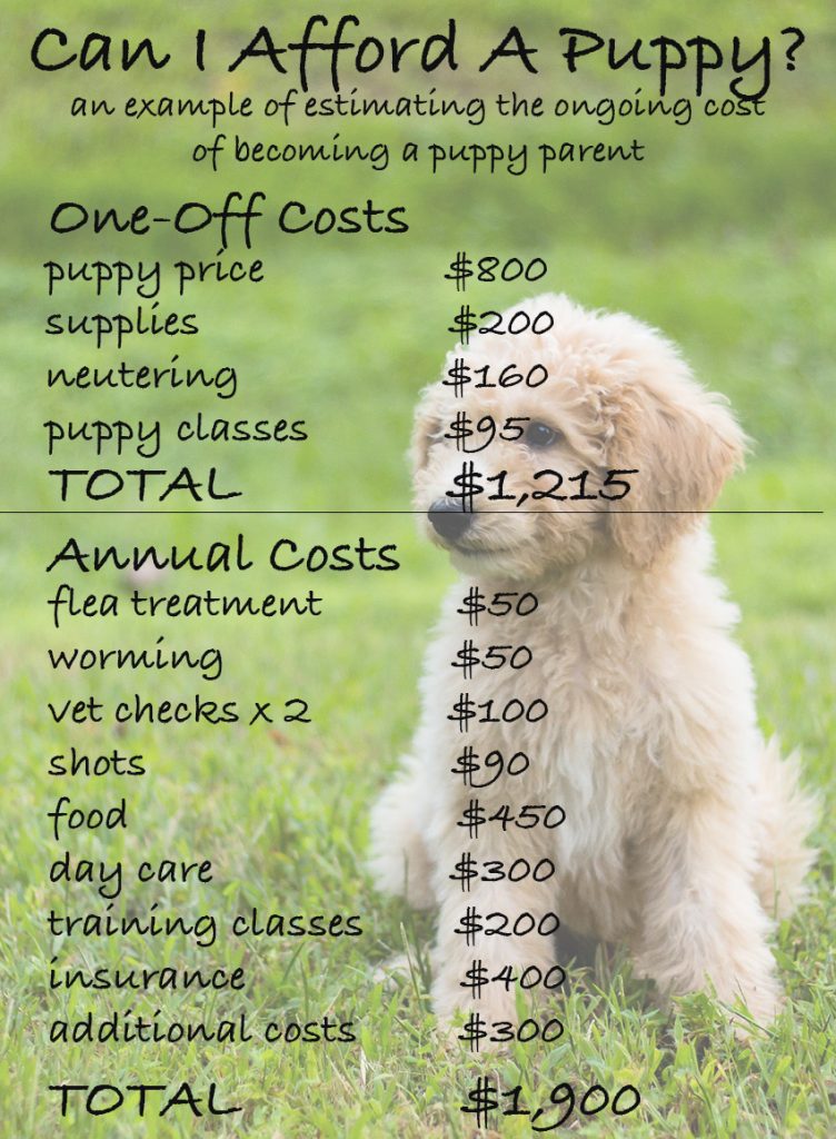 How Much Does It Cost To Get A Dog Castration Uk at Doris Whitlock blog