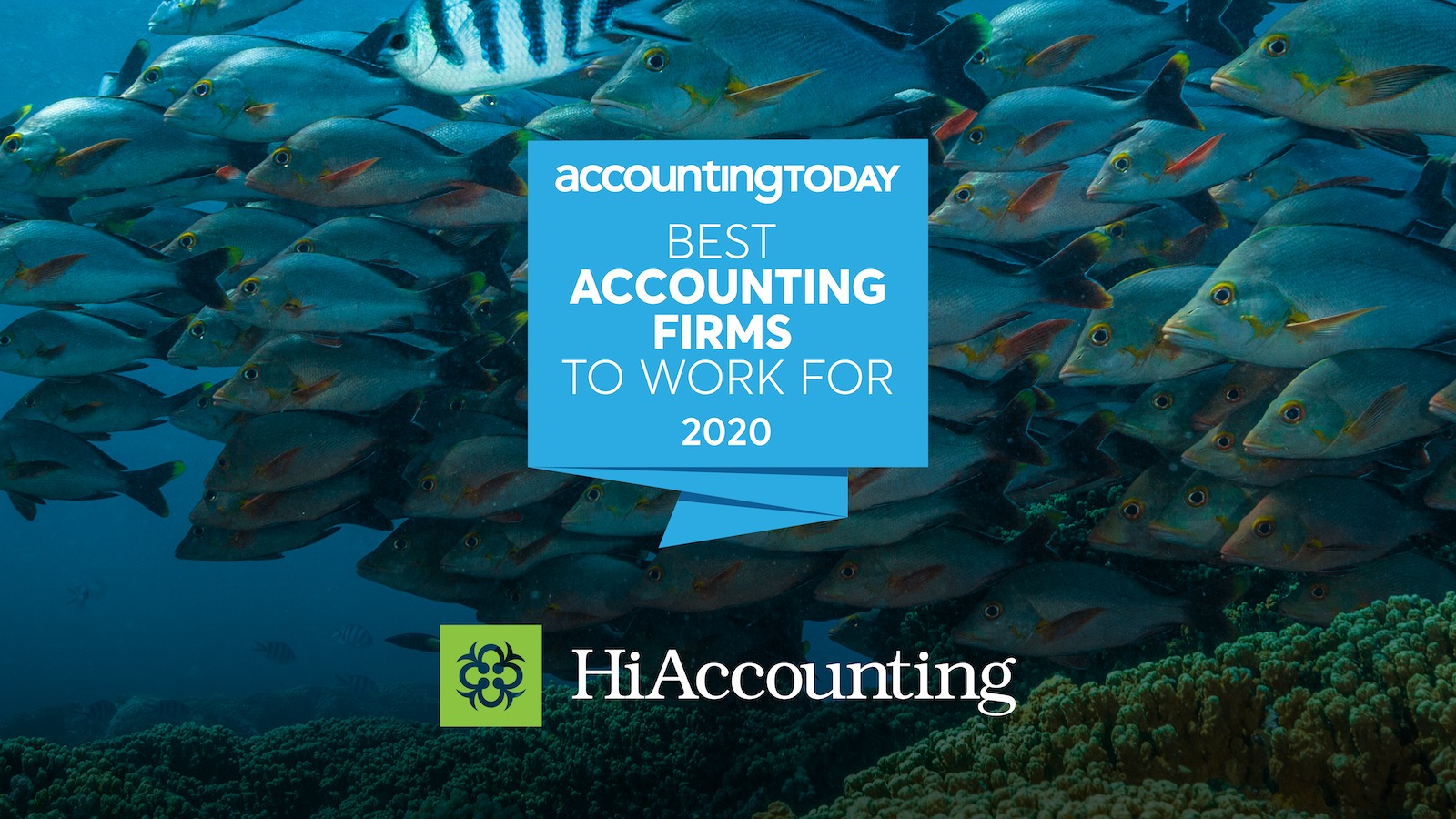 Hawaii Accounting nationally recognized as one of ACCOUNTING TODAY’s