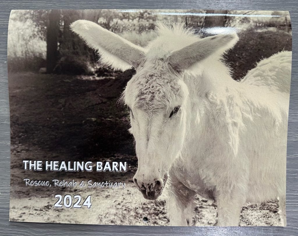 How You Can Help The Healing Barn Rescue & Rehabilitation