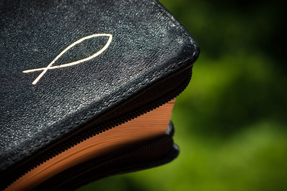 The Biblical Origins of Tilapia The Healthy Fish