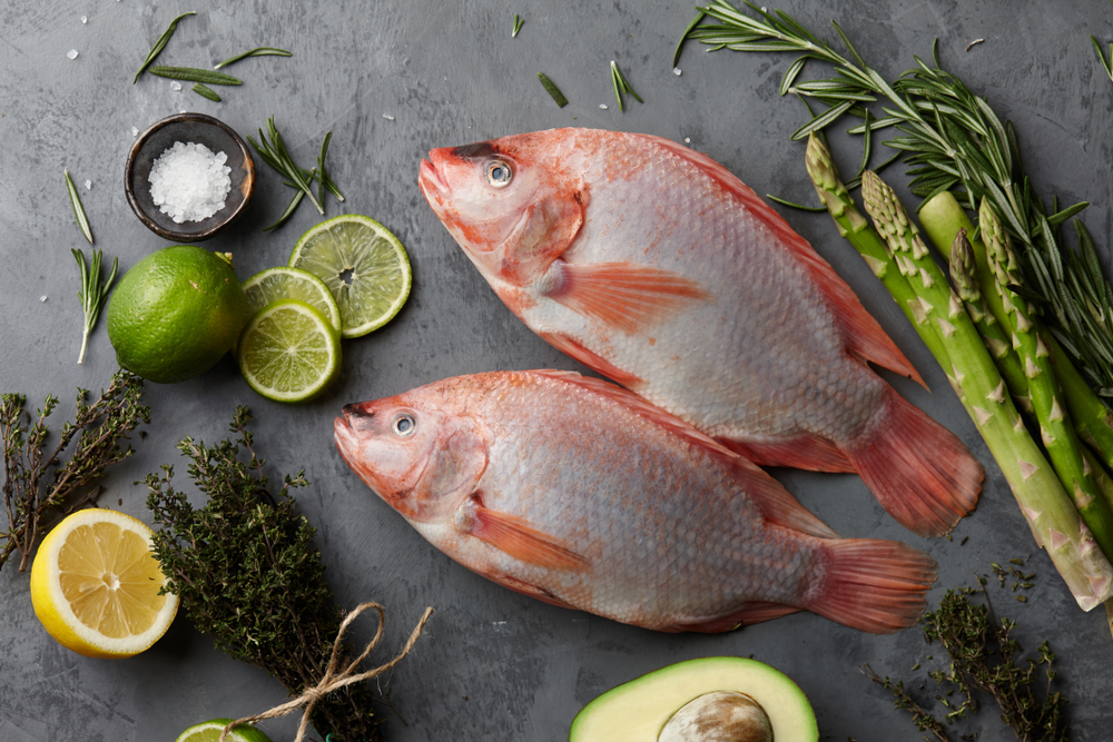 Tilapia Loins vs. Fillets Which One Should I Cook With? The Healthy Fish