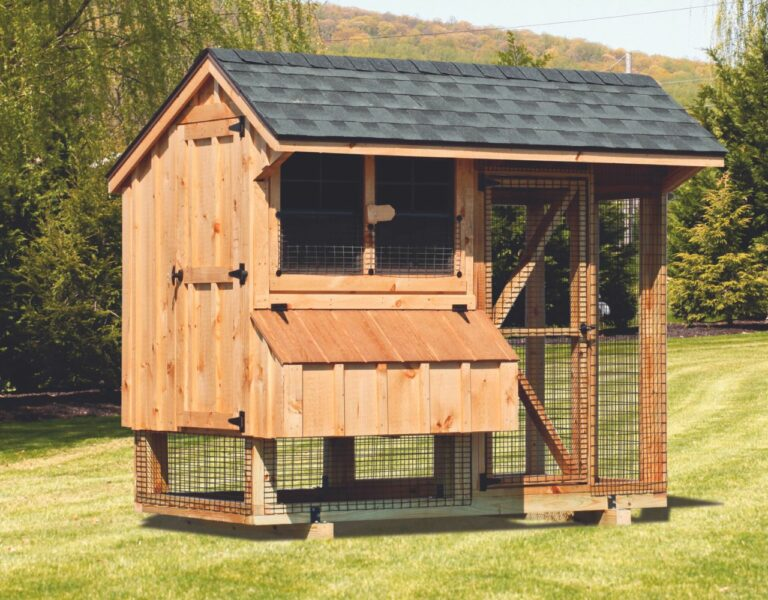 How to Choose the Right Chicken Coop Size 2022 Guide]