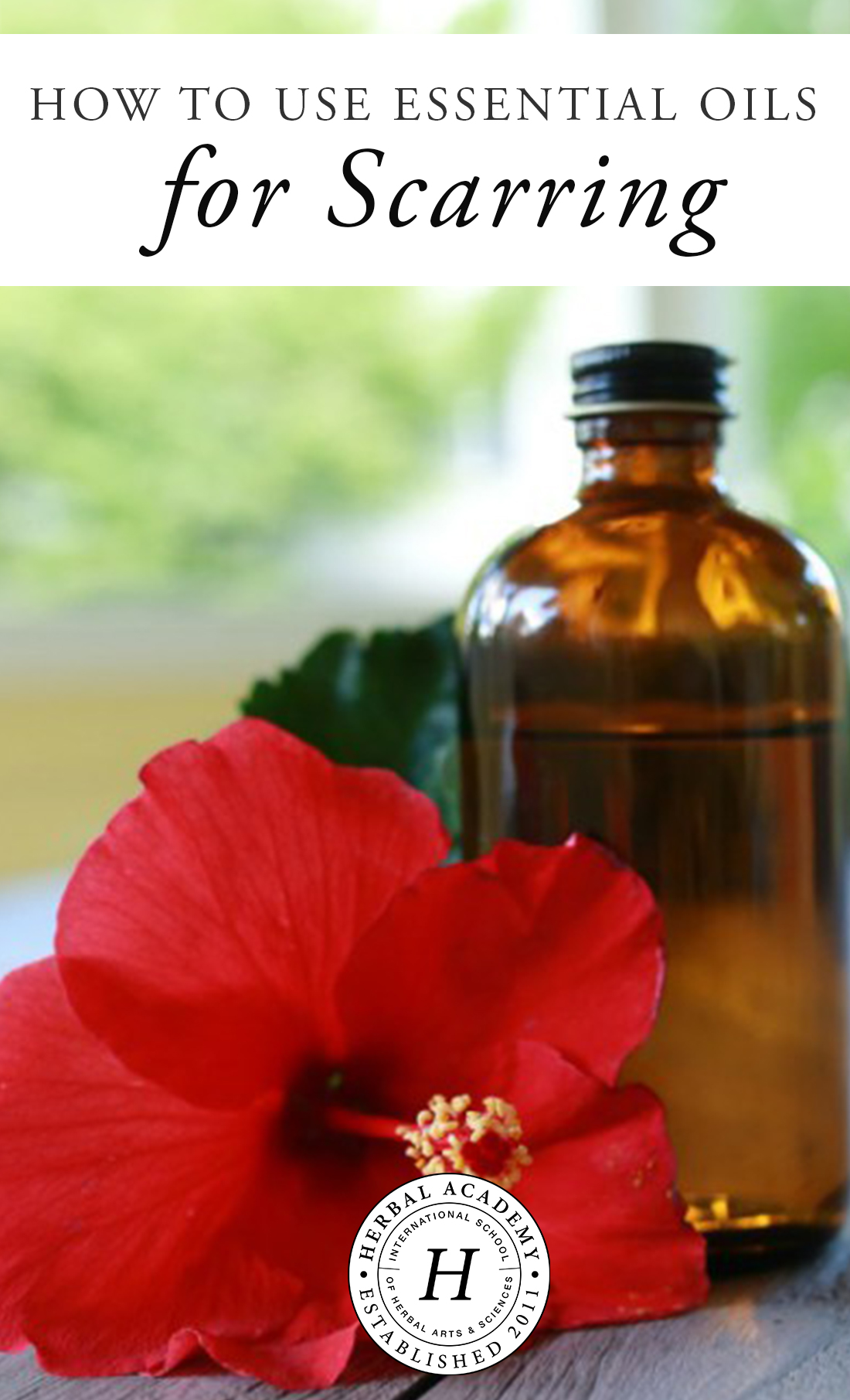 How To Use Essential Oils For Scarring Herbal Academy