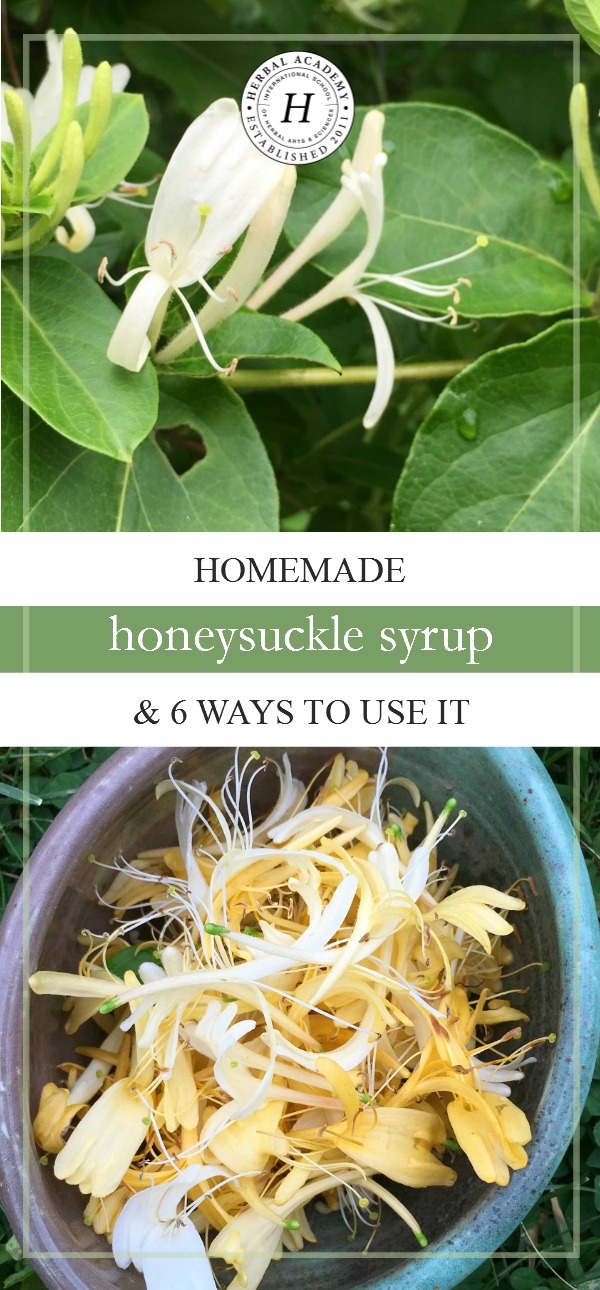 Homemade Honeysuckle Syrup & 6 Ways To Use It