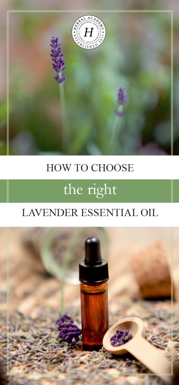 How To Choose the Right Lavender Essential Oil