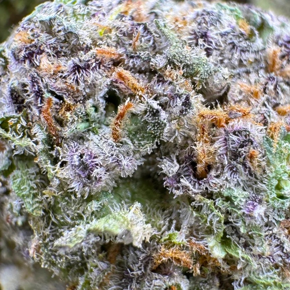 Blue Cheese The Herb Centre