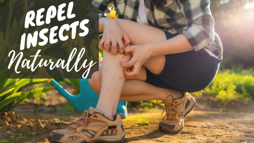 How to Repel Insects Naturally The Herb Exchange