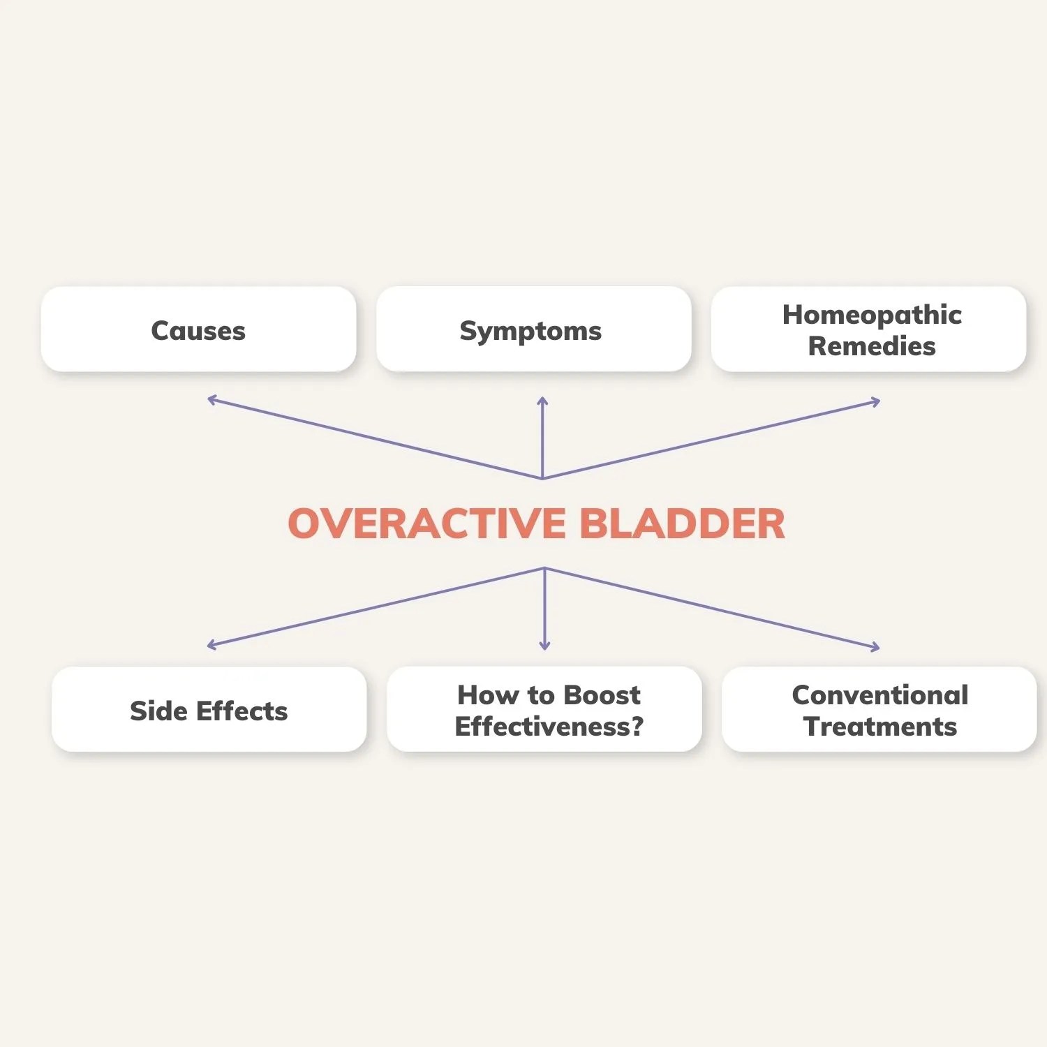 9 Useful Homeopathic Remedies for Overactive Bladder All You Need To