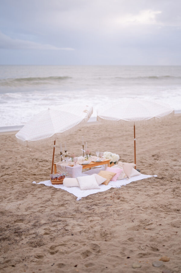 Luxury Picnic Packages Hidden Date