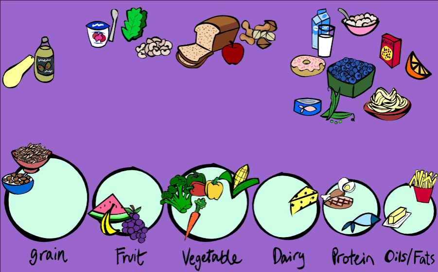 10 Online Nutrition Games for High School Students TheHighSchooler