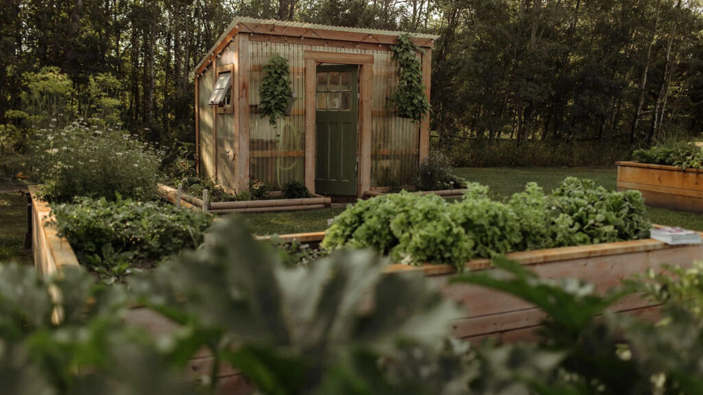 The Importance of Gardening According to Your Growing Zone What Zone