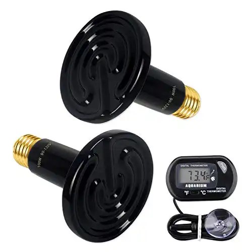 7 Best Heat Lamps for Chicks The Hip Chick