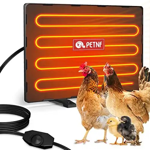 7 Best Heat Lamps for Chicks The Hip Chick