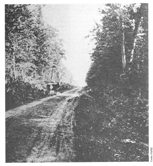 History of North River Road A History of North River Road