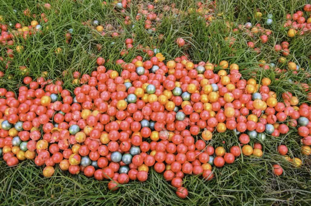 How To Make Your Own Diy Paintballs A Quick Guide HobbyKraze