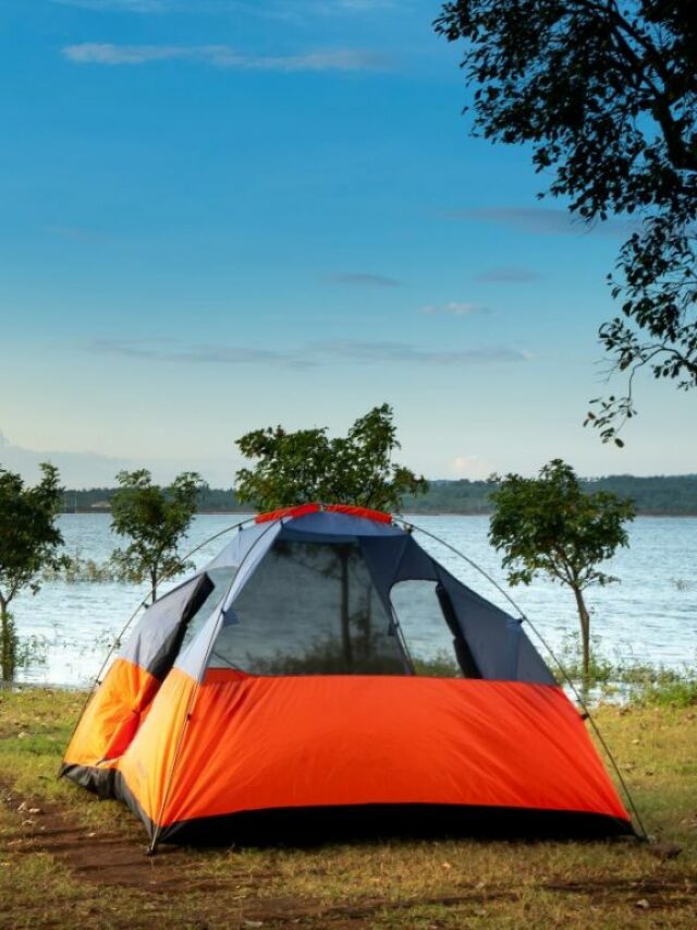 How To Effectively Keep Bugs Out Of Your Tent (Solved!) HobbyKraze