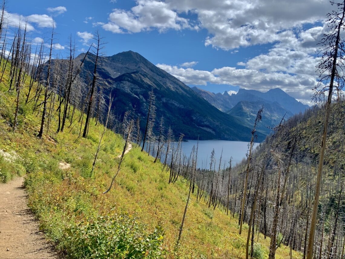 Bertha Lake Trail Waterton Lakes National Park The Holistic Backpacker