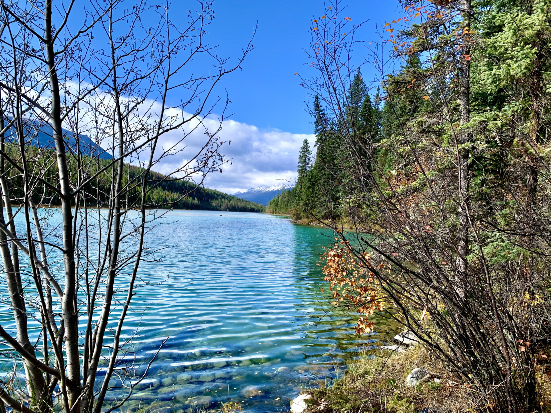 Valley Of The Five Lakes Hike Jasper National Park The Holistic