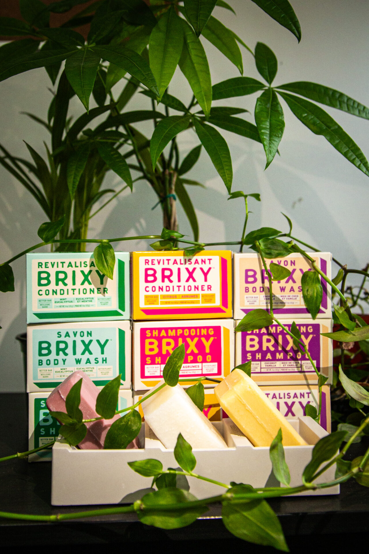 BRIXY Review ChemicalFree Hair Bars The Holistic Backpacker