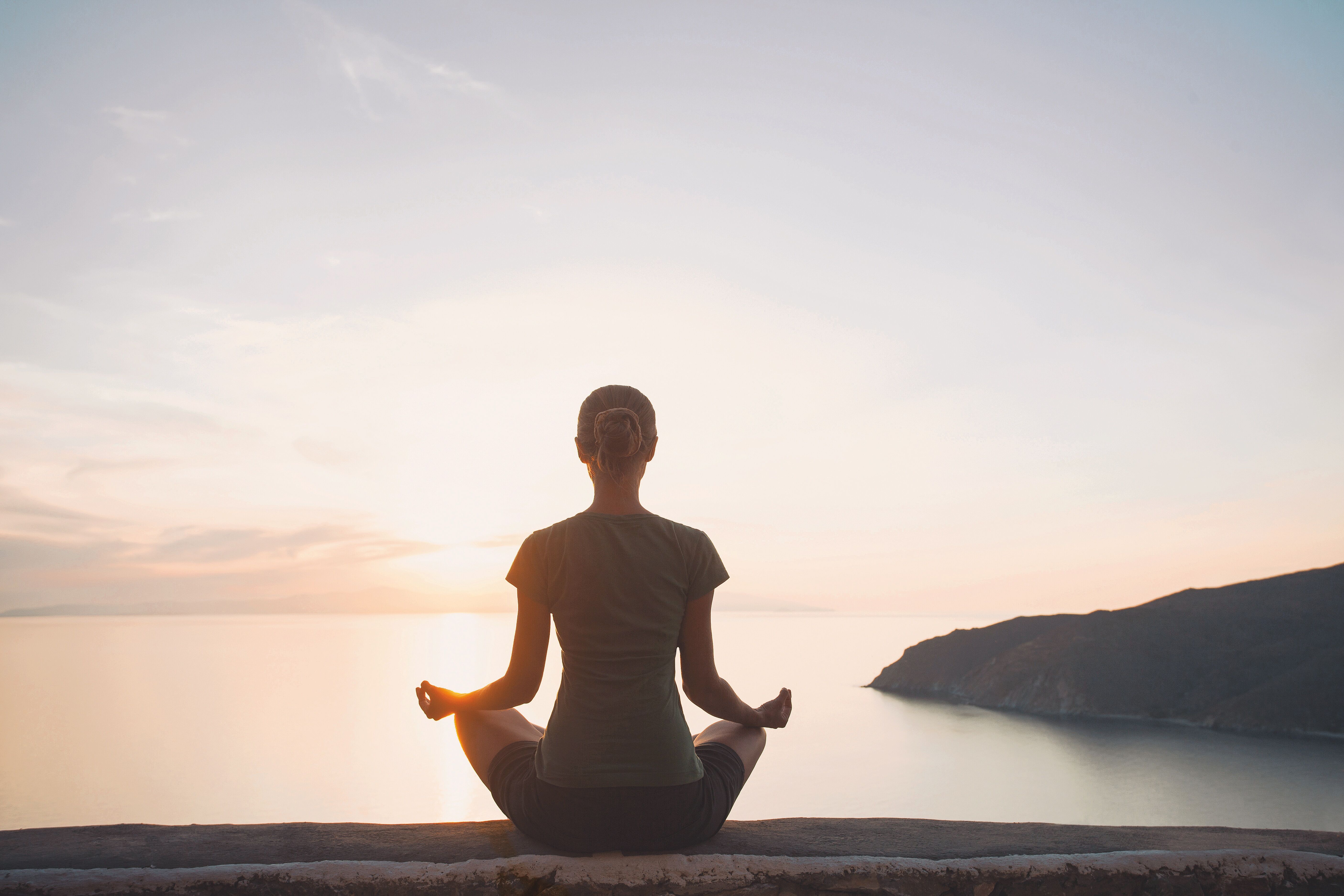 Book Special The Holistic Highway