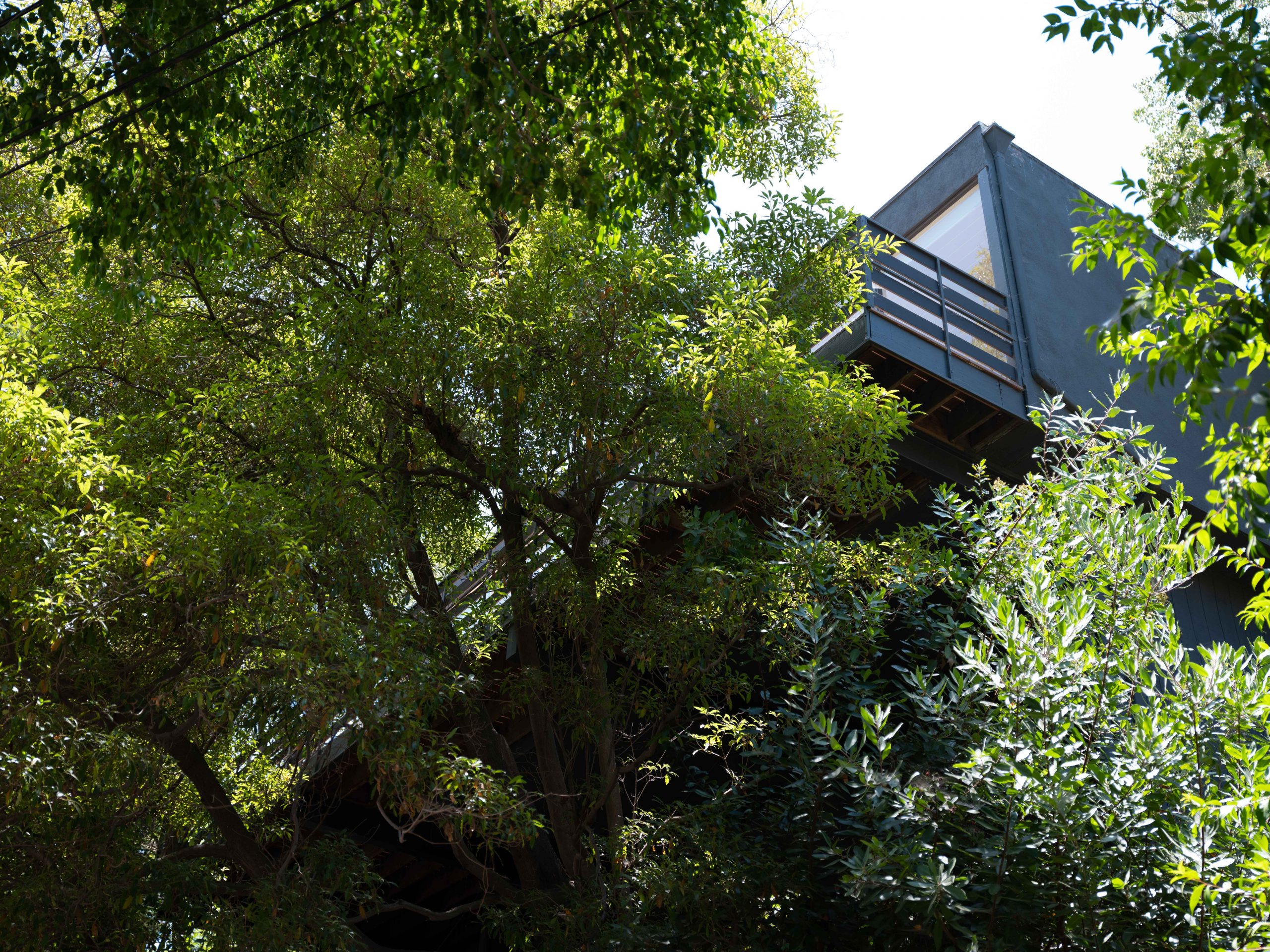 Hollywood Dell MidCentury Modern Treehouse 2758 Rinconia Drive — The