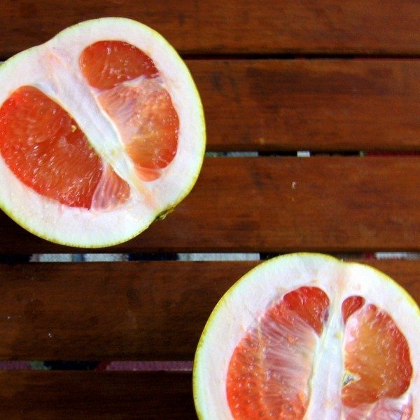 3 New Winter Fruits to Try Today The Holy Mess