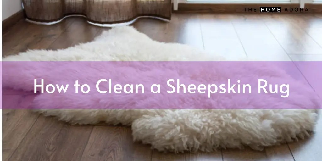 How to Clean a Rug at HomeThe Ultimate Guide The Home Adora