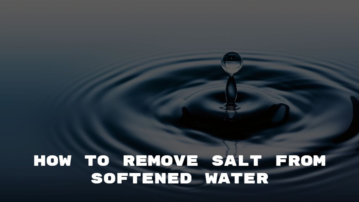 How to Remove Salt From Softened Water 2024 The Home Guide