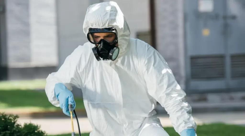 Comparing Bryan pest control services A simplified guide The Home