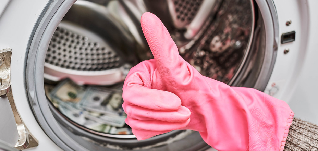How to Clean Mold From Washing Machine Rubber 10 Easy Steps