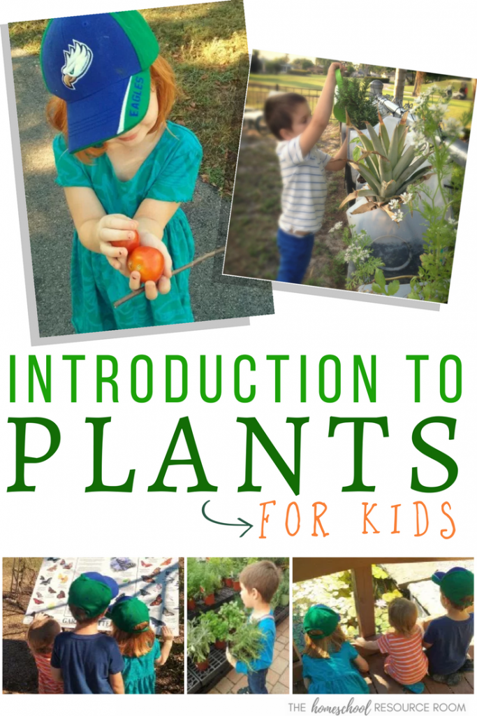 A FUN, Handson Introduction to Plants for Kids! The Homeschool