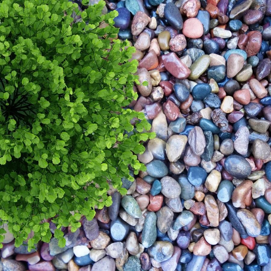 18 Stunning Rock Landscaping Ideas to Enhance Your Home TheHomeShare