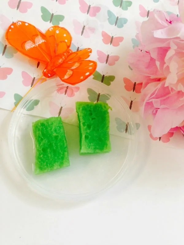 Free Garden Supplies to start your frugal garden planning off right!