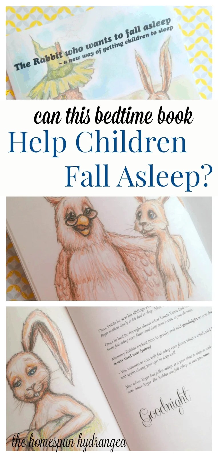 The Rabbit Who Wants to Fall Asleep Book Review The