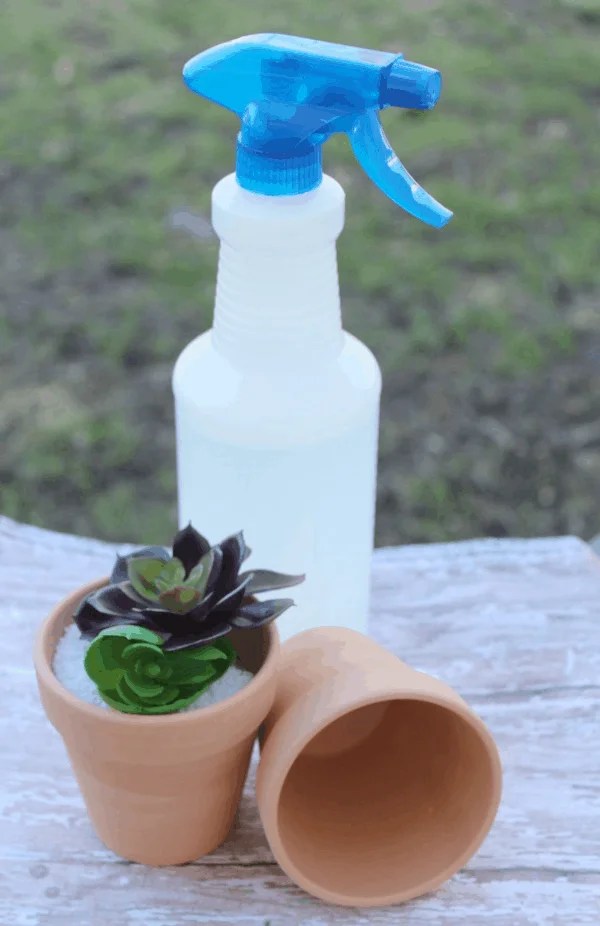Natural Homemade Flower Pot Cleaning Spray The Homespun Hydrangea