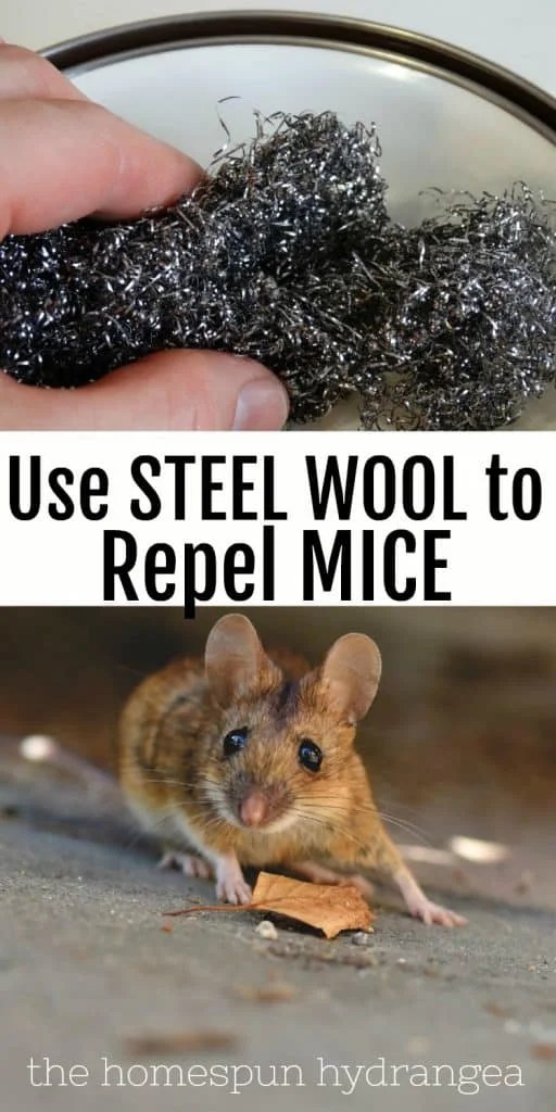 How to Repel Mice with Steel Wool The Homespun Hydrangea