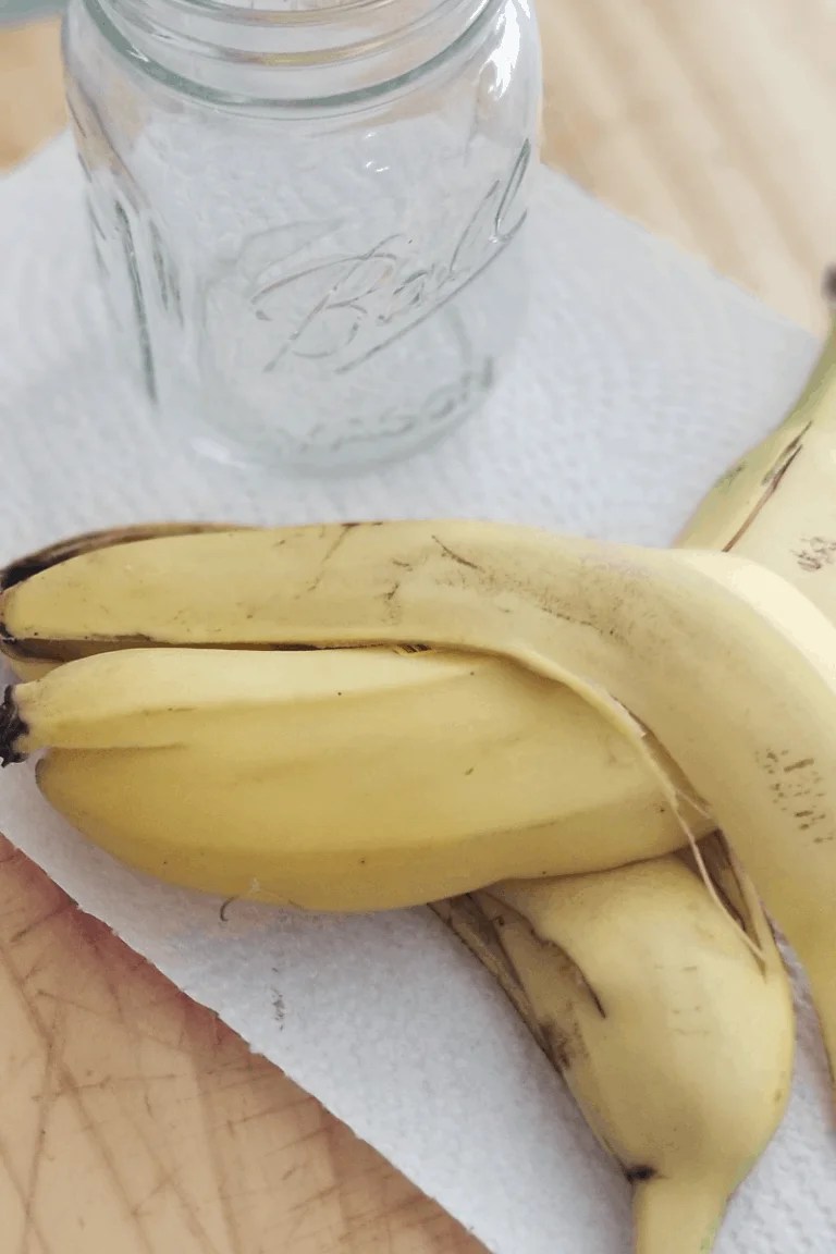 Homemade Banana Peel Water Fertilizer for Your Garden