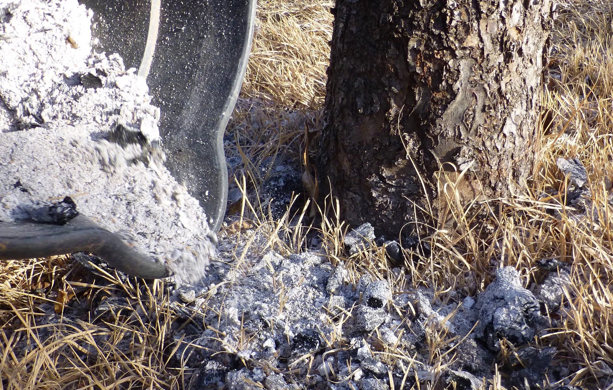 40 Uses for Wood Ash Practical Home & Garden Tips The Homestead Survival