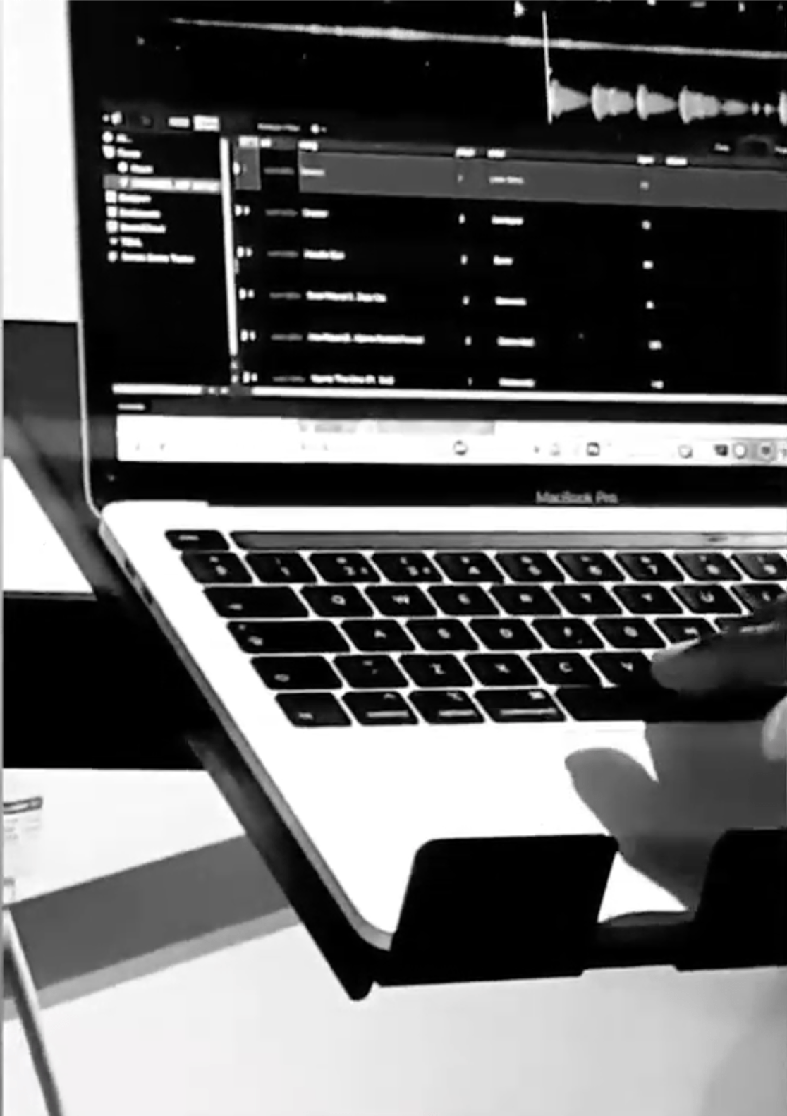 seratopic1 Honey Williams