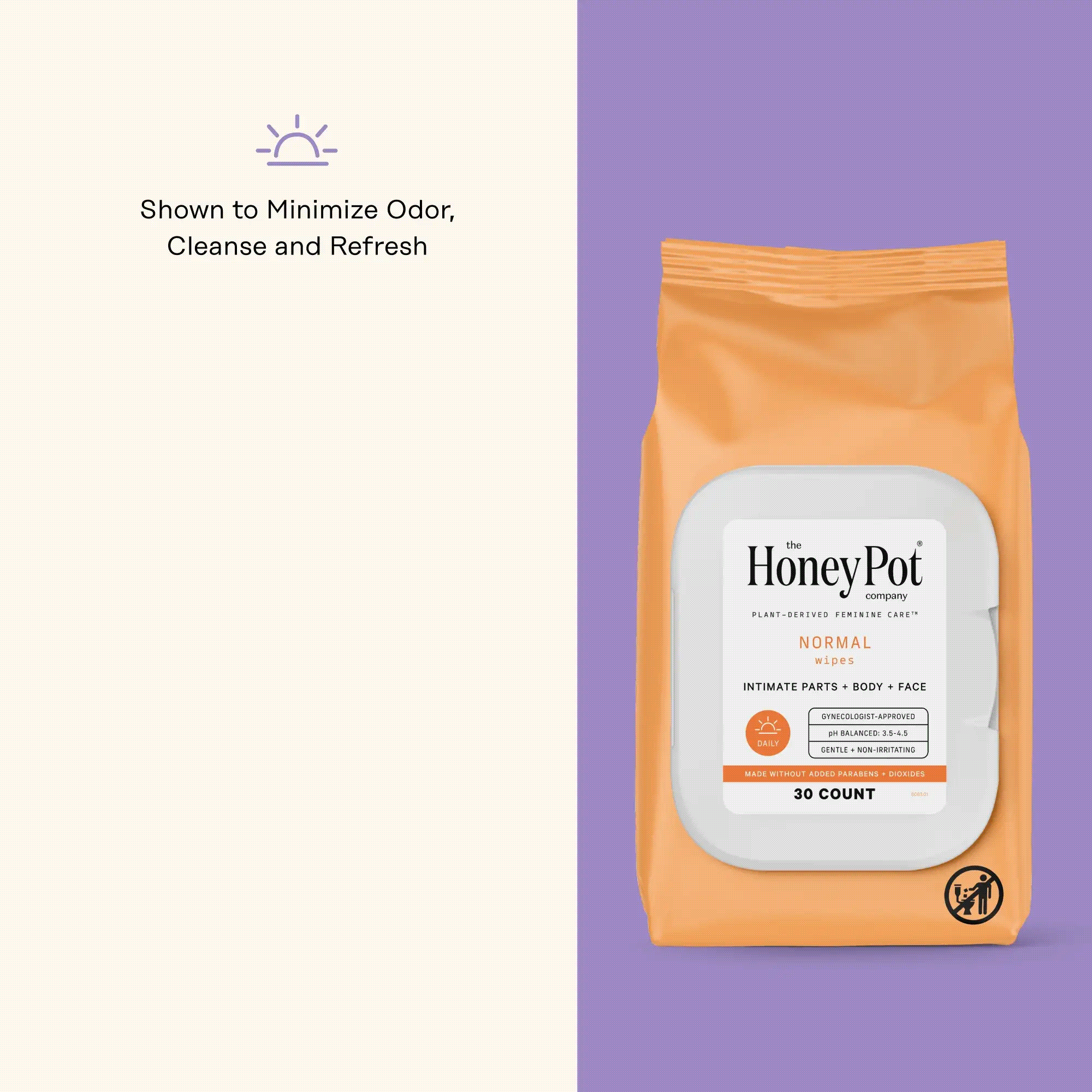 Natural Feminine Wipes pH Balancing Wipes The Honey Pot The Honey