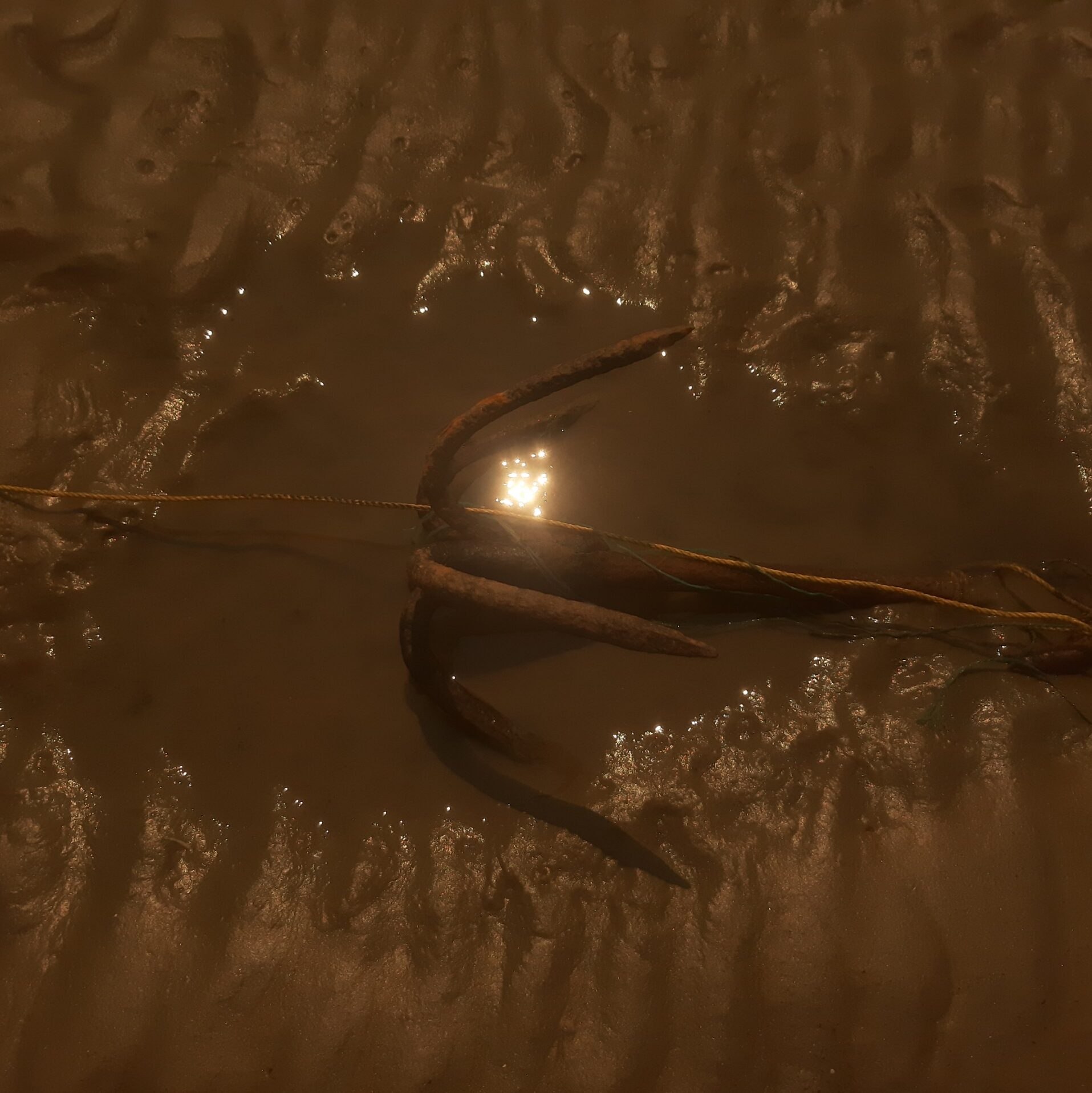 Salt, Shadows and the Tempest — A Drifting Odyssey THE HOOGHLY REVIEW