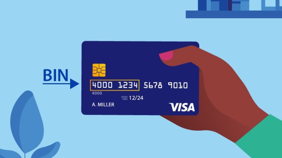 Bin Checker A Tool To Verify The Validity Of A Credit Or Debit Card