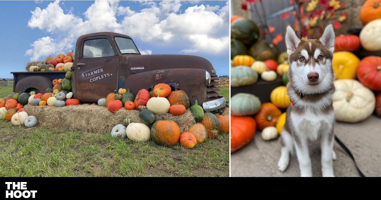 The Leeds familyrun farm with the UK's biggest pumpkin patch