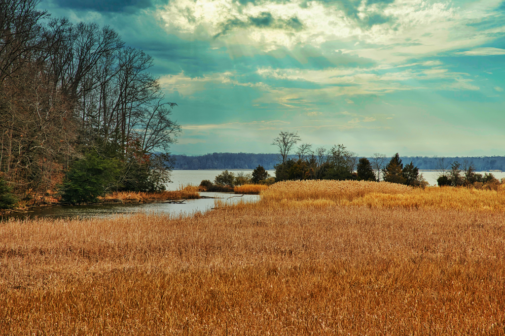 Caledon State Park Loop The Hoppy Hikers