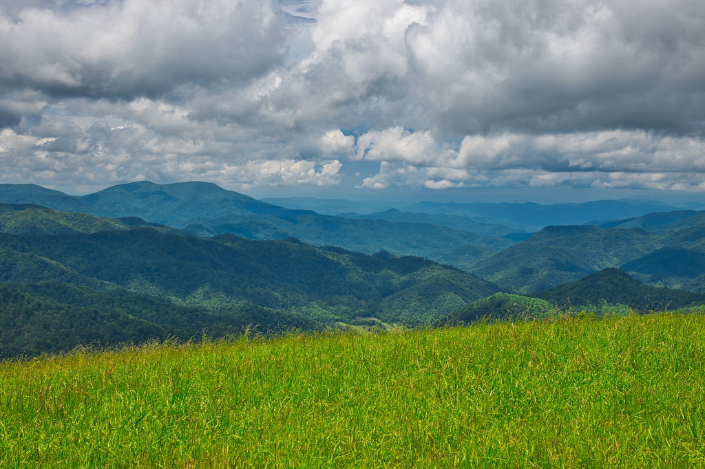 Sandy Mush Bald The Hoppy Hikers
