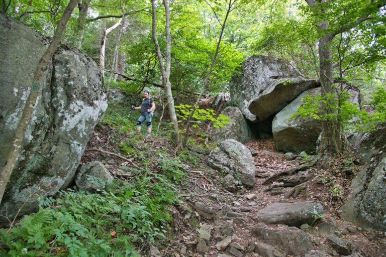 Flat Top Mountain The Hoppy Hikers