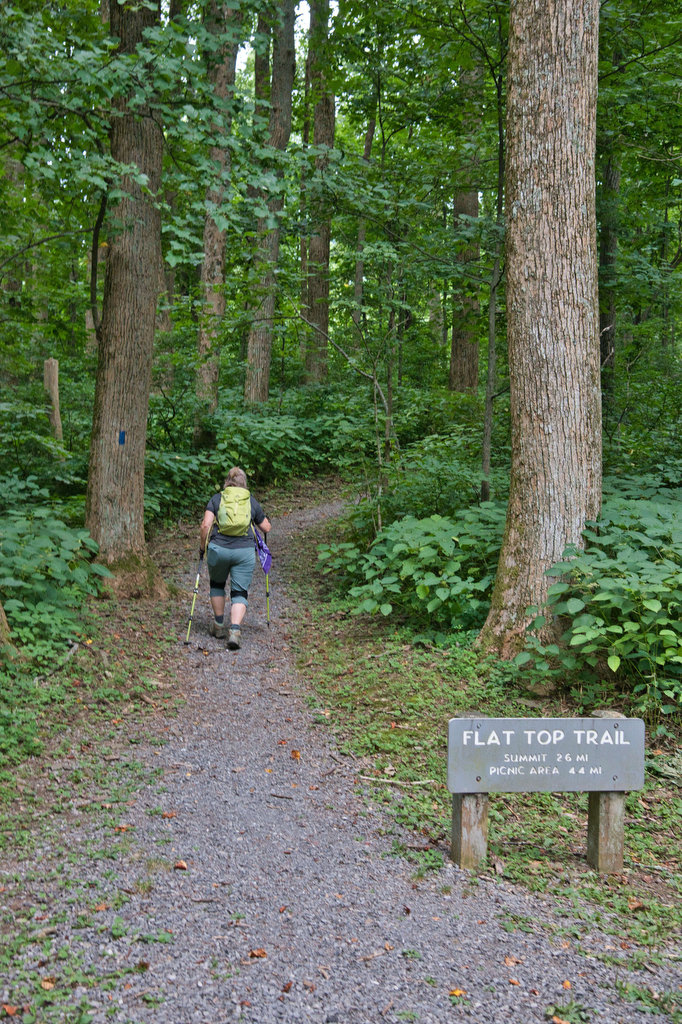 Flat Top Mountain The Hoppy Hikers