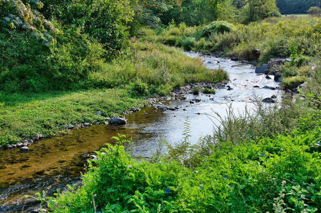 Rockfish River Trail The Hoppy Hikers