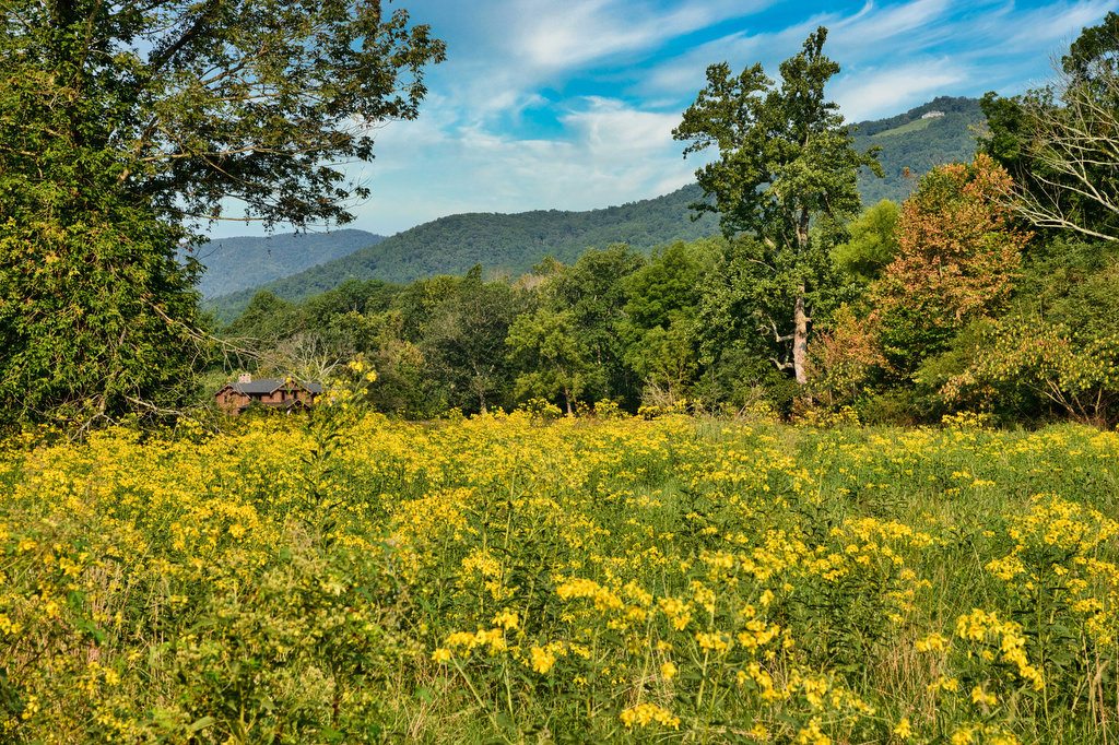 Rockfish River Trail The Hoppy Hikers