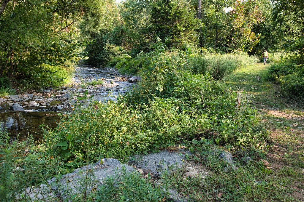 Rockfish River Trail The Hoppy Hikers